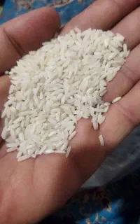برنج علی کاظمی