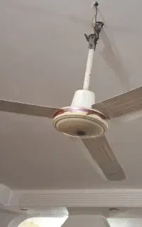 پنکه