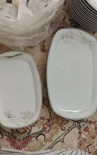 سرویس پذیرایی پردیس