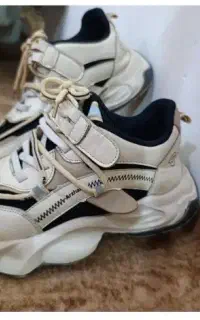کفش اسپرت