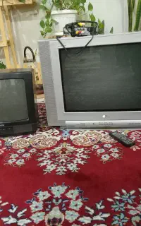 تلویزیون