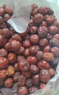 عناب
