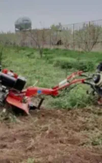 علف زنی وپاکنی باغهاوباغچها وگلخانها