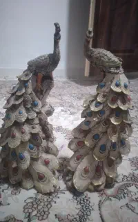 طاووس