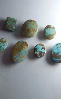 فیروزه نیشابوری درجه یک