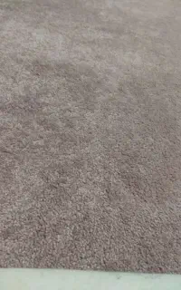 موکت پالاز