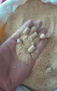 سویا برزیلی درجه یک
