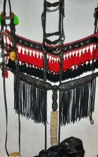 زین  کلگی دهنه  وسایل تزئینی اسب