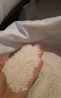 برنج هاشمی درجه1