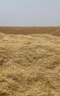 کاه فروشی