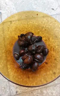 سیر ترشی 15 ساله