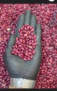 بسته بندی