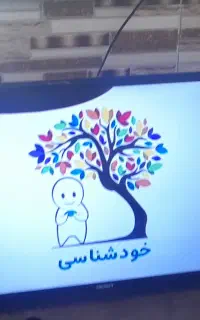تلوزیون