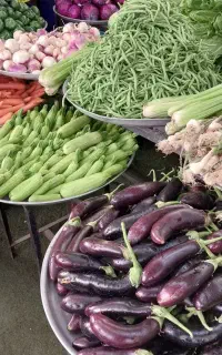 نیرو کار جوان برای میوه فروشی