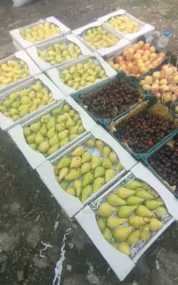 میوه فروشیه مهدی پور درخدمت مشتریهای عزیز هستیم