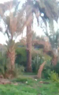 استخدام منشی،حسابدار،فروشنده