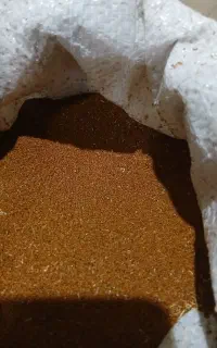 خاکشیر