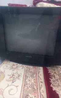 تلویزیون