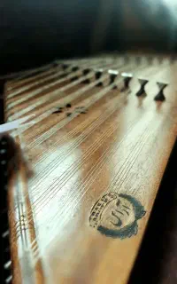 سنتور آراس یک روز استفاده شده