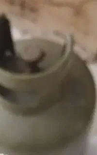کپسول گاز نیک
