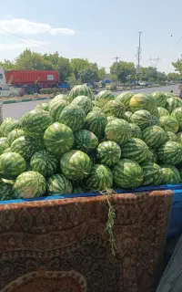 هندوانه
