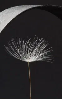 تعویض سیم کارت ثابت همراه اول