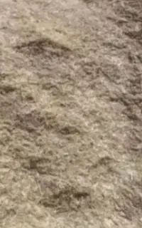 کاه  گندم دیمه نرم تمیز  کاه صالح آباد هستش
