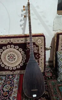 چگور ترک