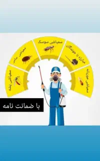 سم پاشی موریانه. ساس