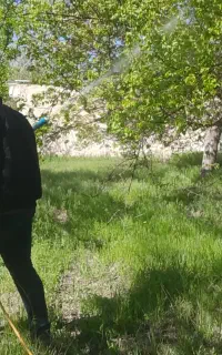 سمپاشی و آبرسانی باغات سیار