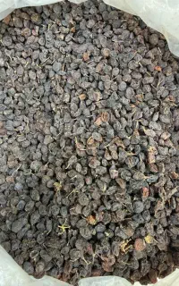 کشمش آفتابی پاک چرخ کردن رایگان