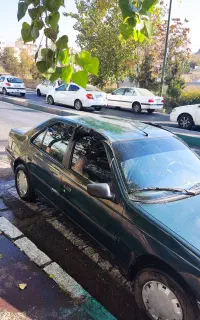 پژو اردی