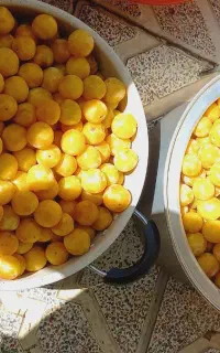 لواشک خانگی الو زرد