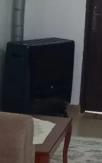 بخاری ۱۴۰۰۰وپیک نیک