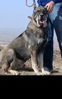 عذاب