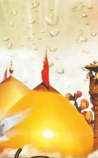تور کربلا و نجف ۱۷خرداد