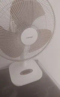 پنکه