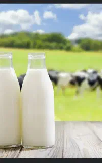 فروش شیر پروتوئین درصد بالا
