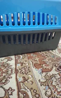 باکس حمل گربه