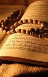 سرکتاب دقیق 80 تومان