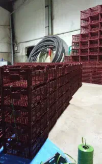 نیرو فوری میخام واسه سبد سازی مازندران
