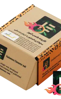 افزونه سرعت المنتور با نت ملی طراحی سایت وردپرس