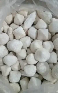 کشک گوسفندی
