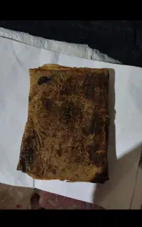 سرکتاب طالع‌بینی‌ تمام امورات ،تضمینی