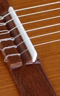 فروش انواع سیم گیتار + تعویض و رگلاژ تخصصی