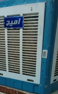 کولرابی