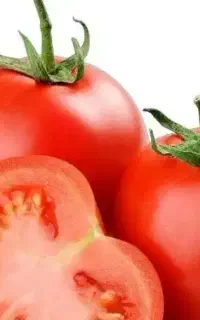 گوجه بخرین من رب درست میکنم
