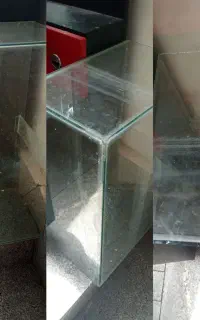 آکواریوم معاوضه با عروس هلندی ماده یانره