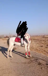 اسب