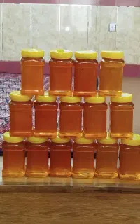 عسل خارشتر
